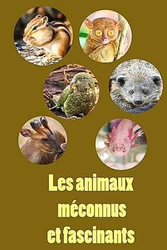 Couverture du livre Les animaux méconnus et fascinants de Mathieux Joubert